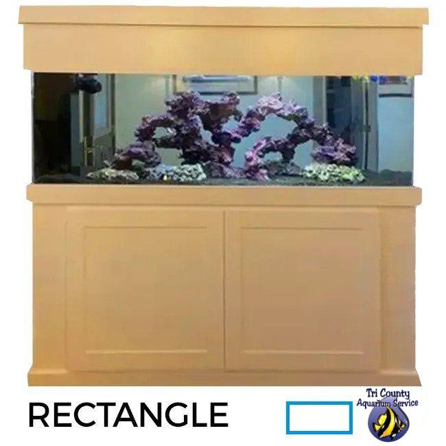 220 Gallon 48 Lx48 Wx24 H Rectangle Aquarium Setup