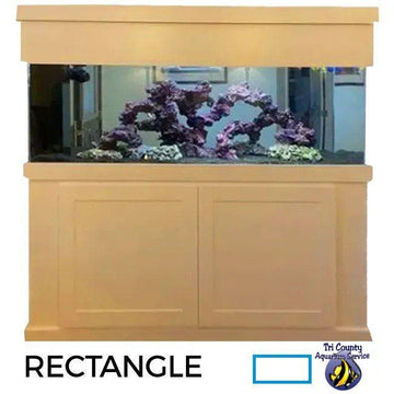 323-Gallon 48″Lx48″Wx36″H Rectangle Aquarium Setup