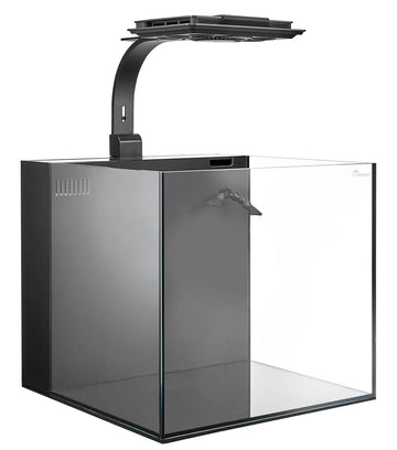 MAXSPECT Dice AIO 12 Gallon Nano Cube Aquarium w/ MJ-L165 LED