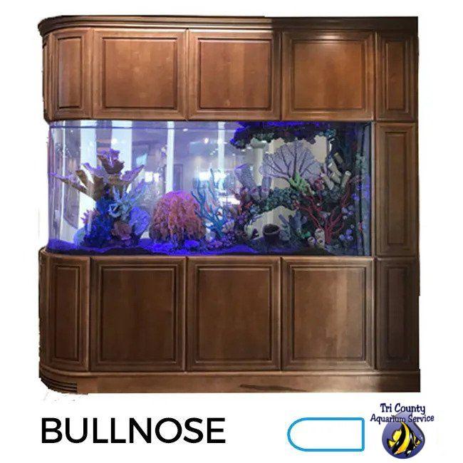 102-Gallon 48″Lx24″Wx24″H Bullnose Aquarium Setup