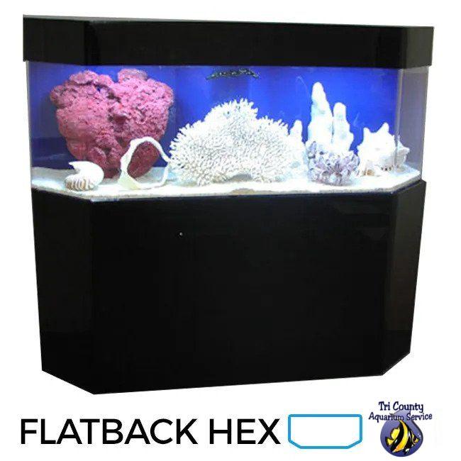 150-Gallon 72″Lx24″Wx24″H Flat Back Hex Aquarium Setup