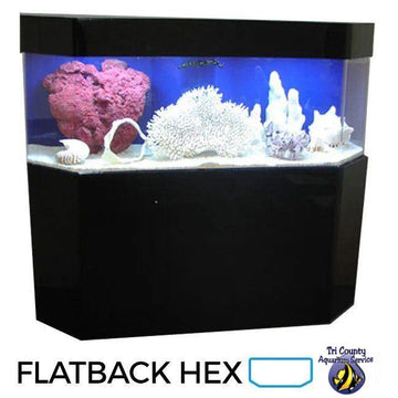 188-Gallon 72″Lx24″Wx30″H Flat Back Hex Aquarium Setup