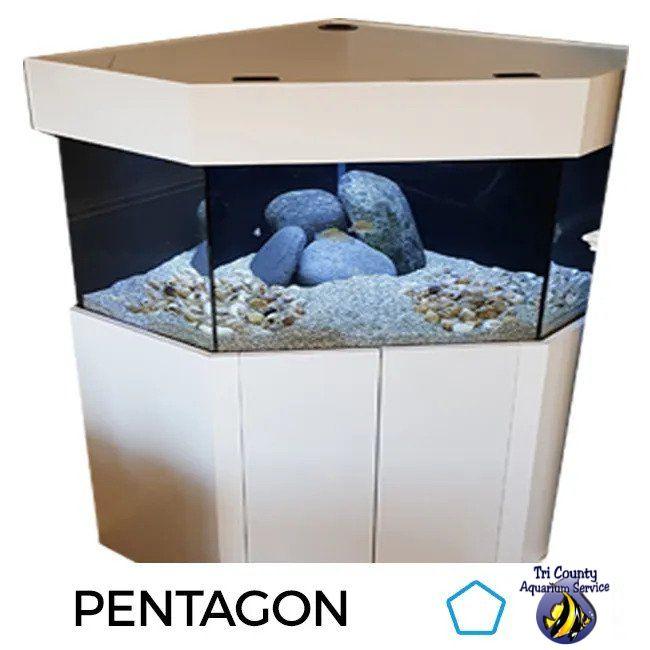 120-Gallon 36″Lx36″Wx30″H Corner Pentagon Aquarium Setup