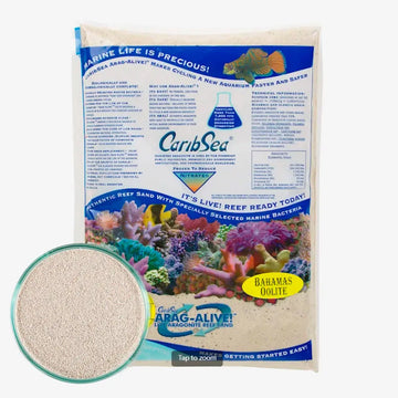 Caribsea Arag-Alive   Bahamas   Oolite