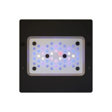 EcoTech Marine
Radion XR15 G6 Blue LED Light Fixture