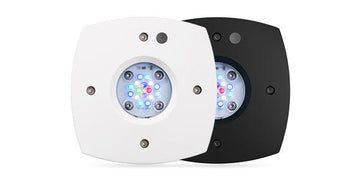 Prime 16HD Reef- Prime Series- Smart Reef LED